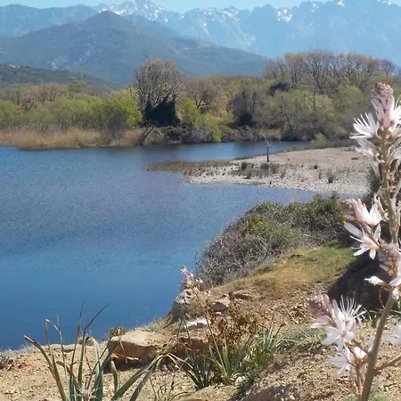 Padulina Au Bord De La Avec Piscine *