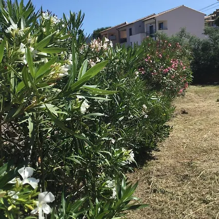 Padulina Au Bord De La Avec Piscine Villa