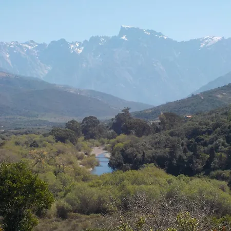 Villa Padulina Au Bord De La Avec Piscine Galeria (Corsica)