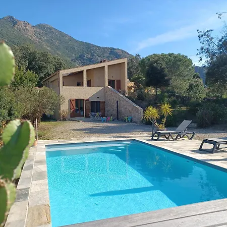 Padulina Au Bord De La Avec Piscine Villa Galeria (Corsica)