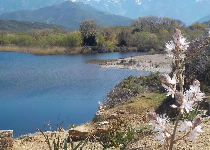 Padulina Au Bord De La Avec Piscine *